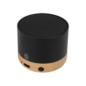 SALIENT - Bamboo Speaker