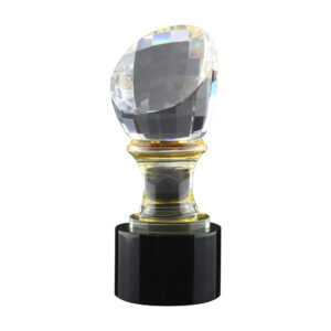 Crystal Glass Trophy in Wooden Box